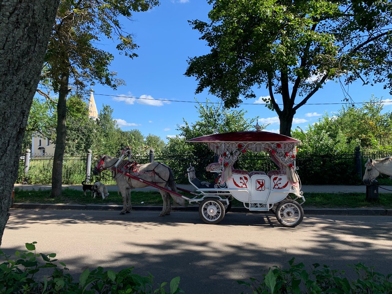 Гостиница Сокол Суздаль-54
