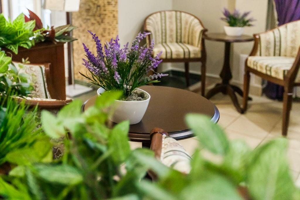 Гостиница Сокол Суздаль-101