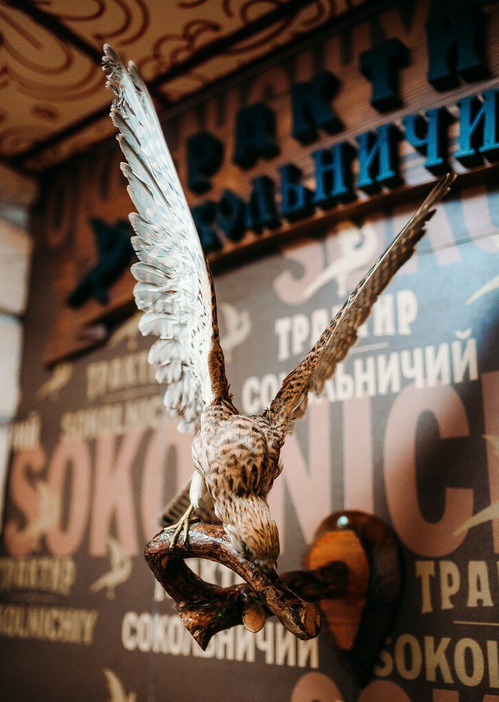 Гостиница Сокол Суздаль-145