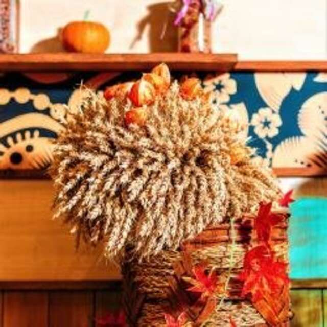 Гостиница Сокол Суздаль-245