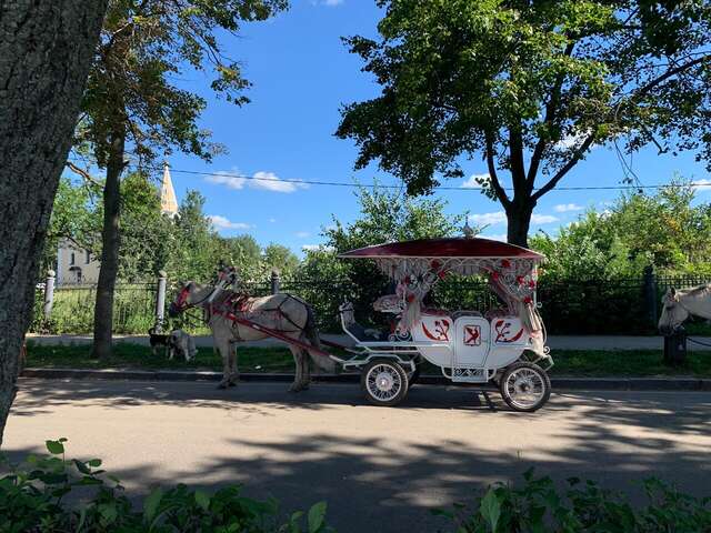 Гостиница Сокол Суздаль-53