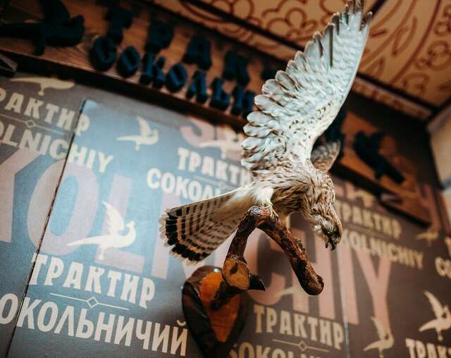 Гостиница Сокол Суздаль-173