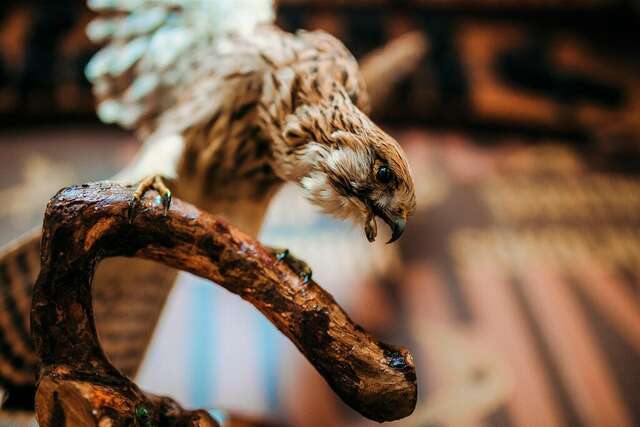 Гостиница Сокол Суздаль-134