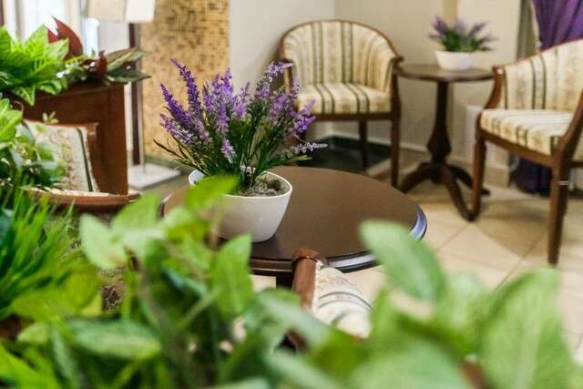 Гостиница Сокол Суздаль-100