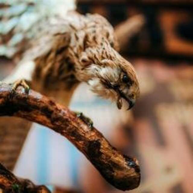 Гостиница Сокол Суздаль-157