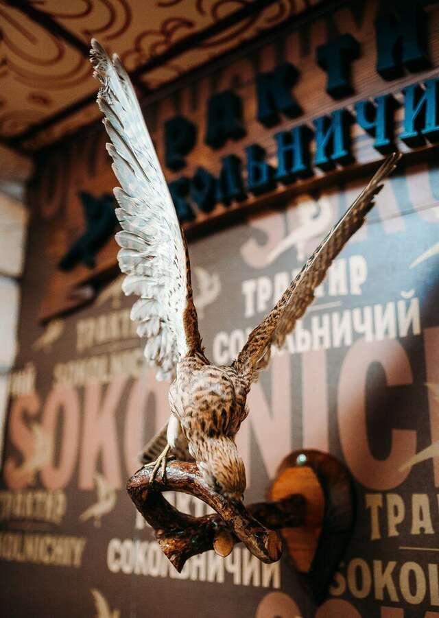 Гостиница Сокол Суздаль-144